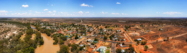 D Wilcannia矮高平底锅图片下载