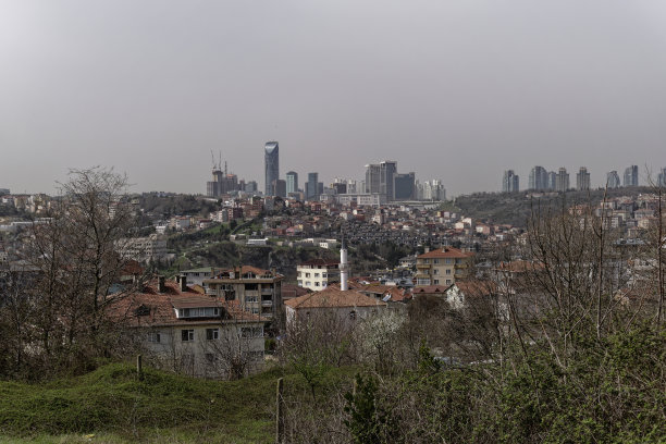 城市景观从远端到商业中心区图片下载