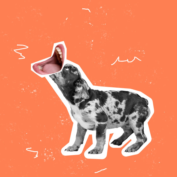 当代艺术拼贴。法国斗牛犬与开放的人的嘴元素孤立在橙色背景图片下载