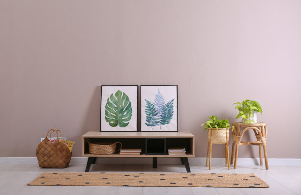 优雅的房间内部与木制橱柜和美丽的室内植物附近的米色墙壁图片下载