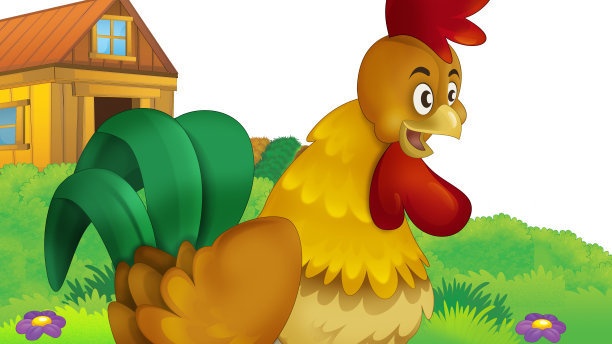 卡通农场场景鸡公鸡鸟插图图片下载