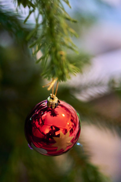 垂直拍摄挂在圣诞树上的闪亮的红色小球装饰图片下载