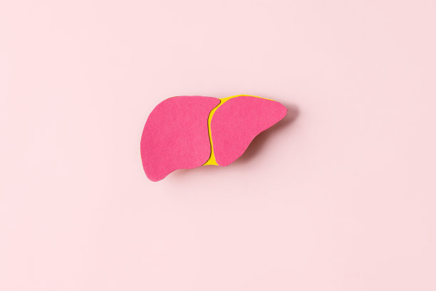 世界肝炎日。肝脏在粉红色的背景。预防和治疗病毒性肝炎的意识。肝癌。世界癌症日。副本的空间。横幅。图片下载