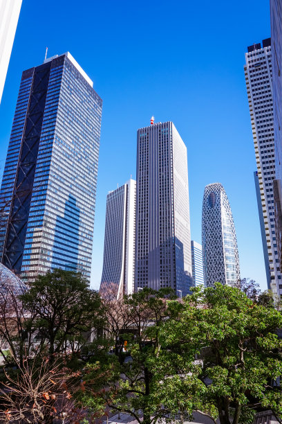新宿摩天大楼从西新宿区的东京都政府街出发图片下载