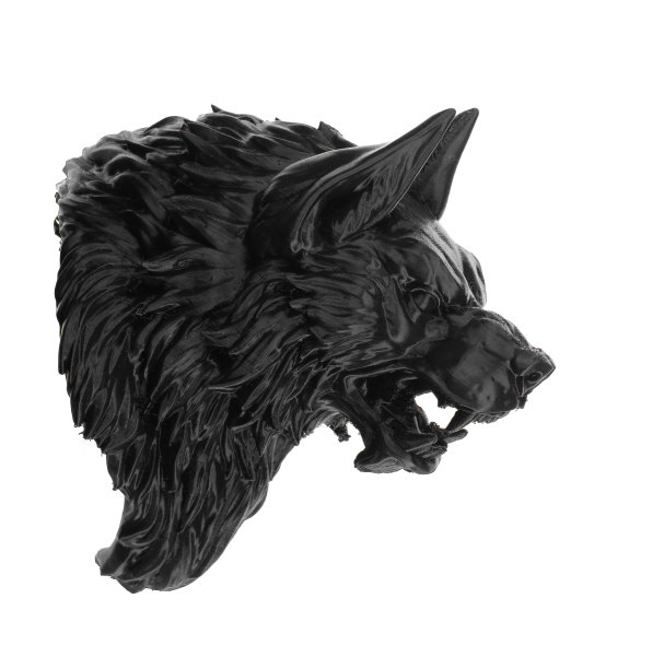 狼人的头孤立在白色背景上图片下载