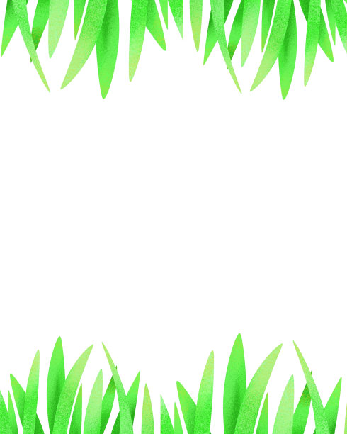白色背景上的绿草插图图片下载
