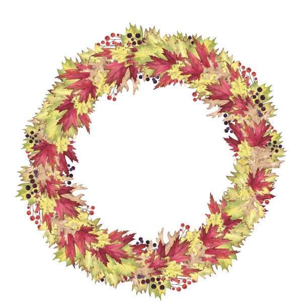 秋花圈水彩画以枫叶、橡木、白杨孤立于白色之上。手绘插画设计图片下载