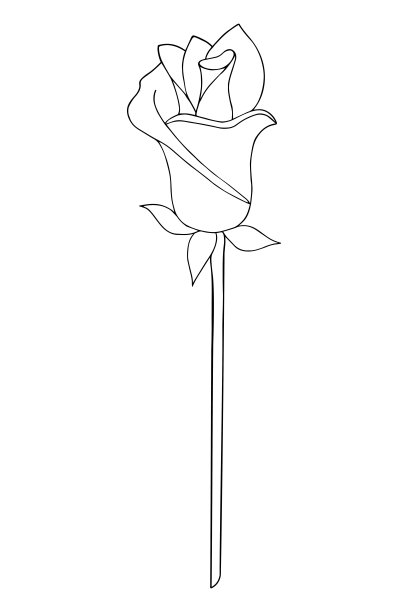 盛开的玫瑰花蕾。一朵芳香的花，长茎，涂鸦风格图片下载