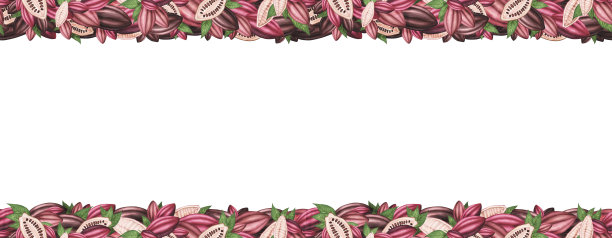 无缝边界与成熟可可豆荚与豆子隔离。水彩的边界。包装、菜单、海报的插图图片下载