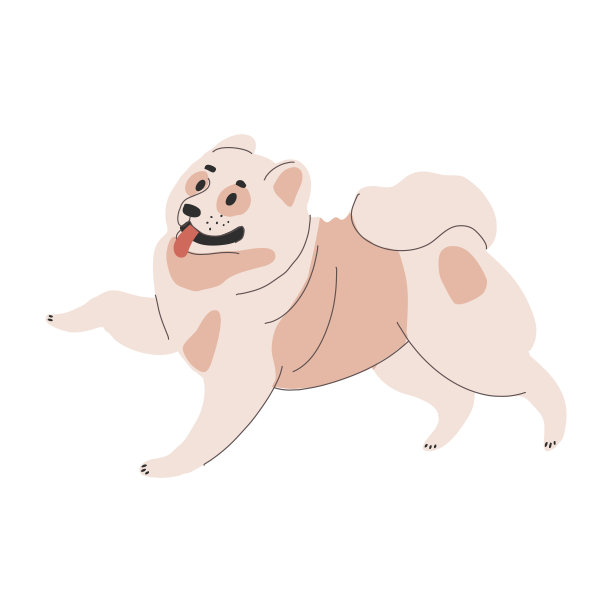 一只轻狗高兴地翘着尾巴跑。向量插图的博美犬在白色背景图片下载