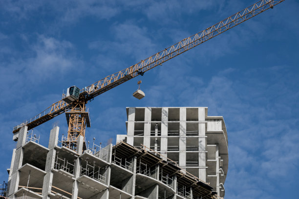 大黄鹤图片下载