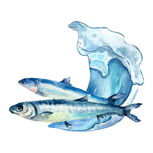 白色背景上孤立的凤尾鱼和海浪水彩画构图。图片下载
