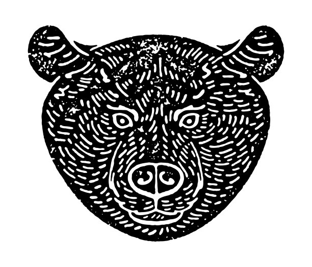 带有颗粒状纹理的熊头图片下载