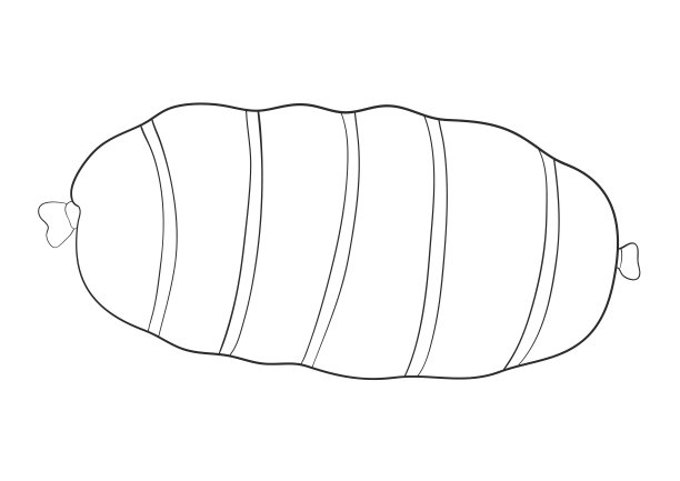 香肠肉分类。肉店的产品。香肠，熏肠，烤肉牛排，意大利腊肠，图片下载