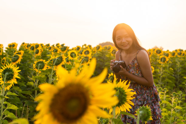 这个女孩喜欢在日出的花场上拍照。图片下载