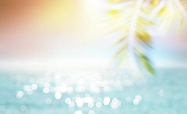 背景-美丽的太阳耀眼的海水和棕榈叶对粉红色的天空在日落。图片下载
