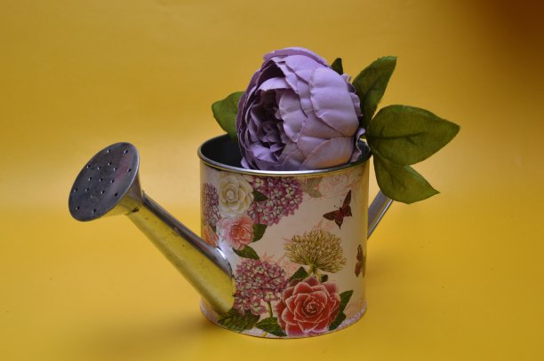 装饰喷壶图片下载