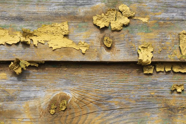 背景的老木材纹理与剥落的黄色油漆图片下载