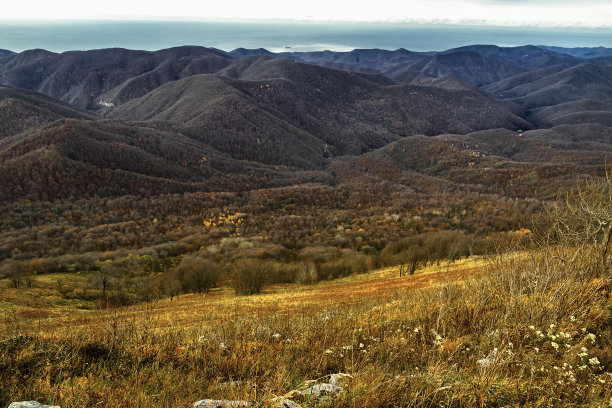 在一个明亮的秋日，鸟瞰被茂密森林覆盖的山丘。图片下载