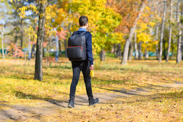 一个十几岁的男孩走过一个秋天的公园，在一个阳光明媚的日子里，树木的叶子都变黄了图片下载