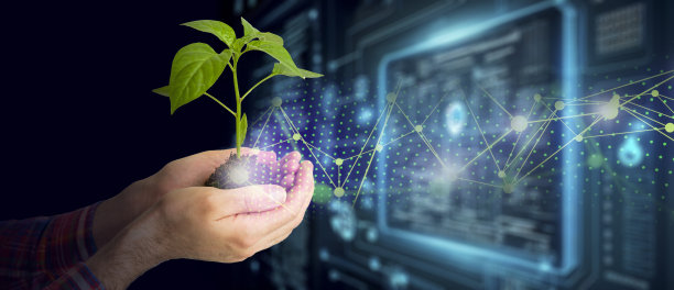 种植植物的农业技术以及自然生物和化学领域的科学研究。活生生的绿芽在农民的手中。有机数字背景图片下载