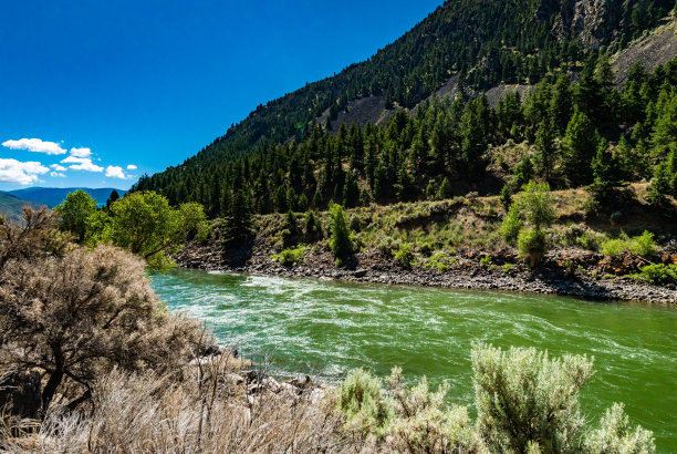 美国蒙大拿州在风景优美的自然湍急的河流图片下载