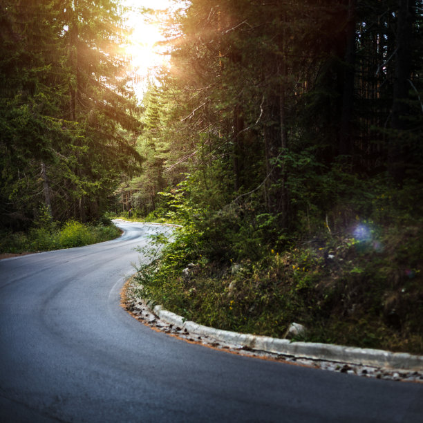 日落时分，山上空荡荡的柏油路和松树林图片下载