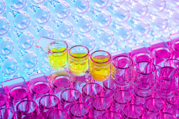 测试样品的检验特写图片下载