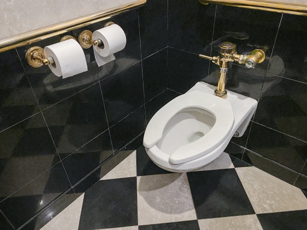 豪华马桶盖图片下载