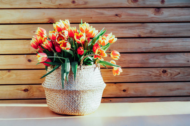 草编袋篮与一束新鲜的红色和黄色郁金香上剥离木制背景。春暖花开。节日礼物3月8日，母亲节，妇女节。副本的空间。图片下载