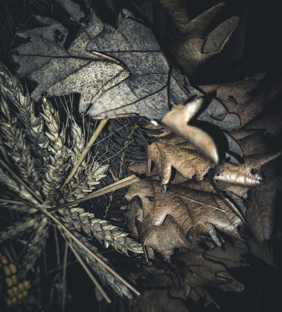 2023年圣诞节和宝石图片下载