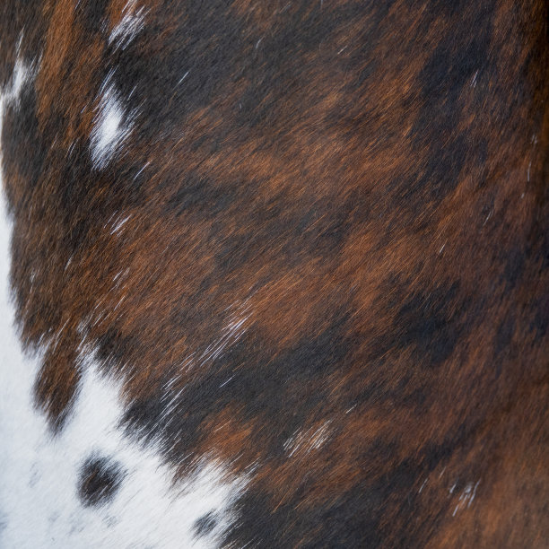 牛毛背景图片下载