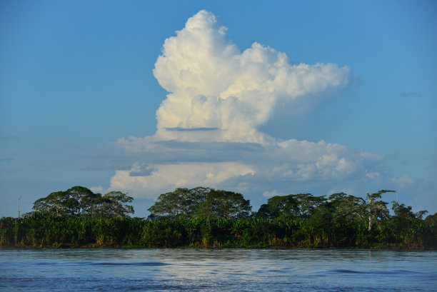 Cumulus clouds above the Amazon rainforest and the Mamoré river图片下载