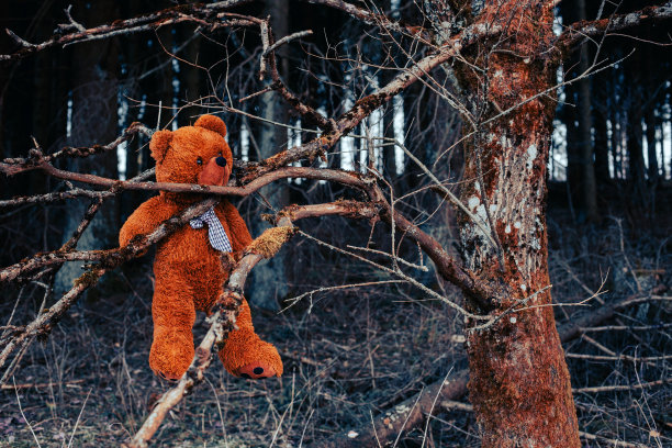 棕色的泰迪熊悬挂在黑暗森林的树枝之间图片下载