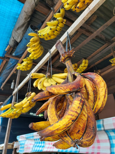在传统的小商店里有各种各样的香蕉图片下载