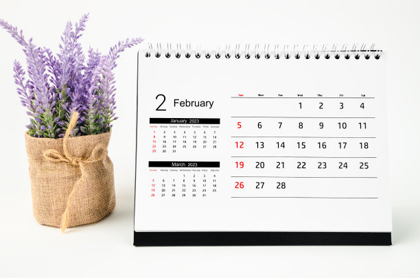 2023年2月的2023年月历，白色背景上有孤立的花朵。图片下载