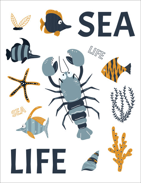 海上海报和明信片给孩子们。卡通海洋动物，鱼，藻类和贝壳。适合贺卡设计、t恤设计、儿童房装饰。向量。图片下载