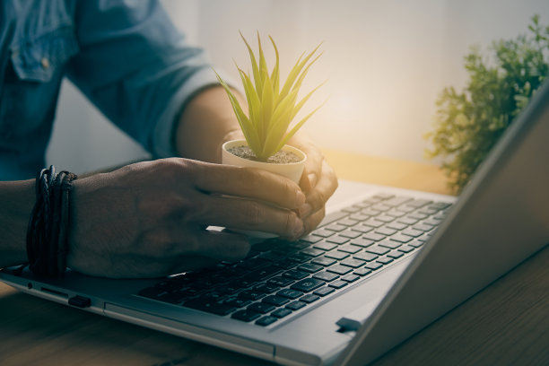 休闲商人手握树或办公室植物和笔记本电脑的复古调图片下载