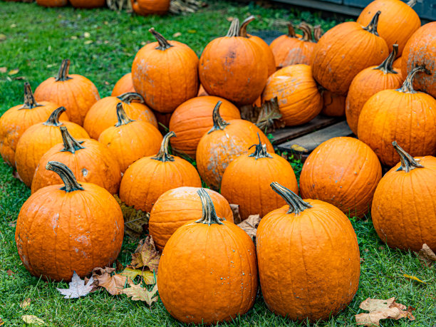 秋天的颜色图片下载