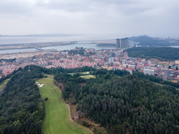 绿色的公园和密集的别墅在城镇图片下载