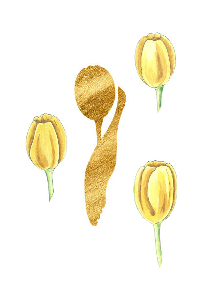 水彩金色郁金香手绘。用于婚礼、假日和装饰设计的分离花卉。黄色花朵用绿色植物装饰卡片，包装其他。春天的气味图片下载