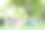 一群印度老人在公园玩拔河比赛。退休的生活。图片下载