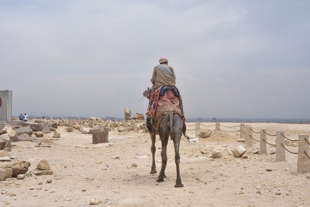 开罗金字塔图片下载