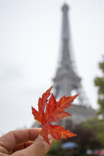 巴黎的秋天。巴黎是一个爱和浪漫邂逅的地方图片下载