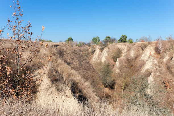 秋天长满单树的陡坡峡谷图片下载