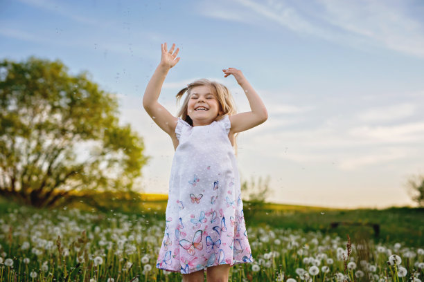 可爱可爱的学龄前小女孩就在蒲公英的花朵上徜徉在夏日的大自然中。快乐健康美丽蹒跚学步的孩子带着鲜花，玩得开心。明亮的夕阳，活泼的孩子。图片下载