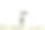 带着圆顶礼帽和雨伞的超现实女性展望无限，商业和自由的概念图片下载