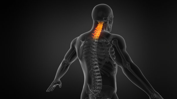 人体脊柱解剖学。颈部疼痛。图片下载