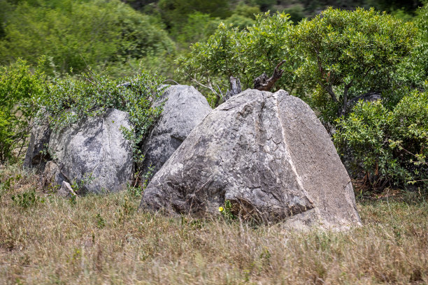 郁郁葱葱的草原上的一块大石头图片下载