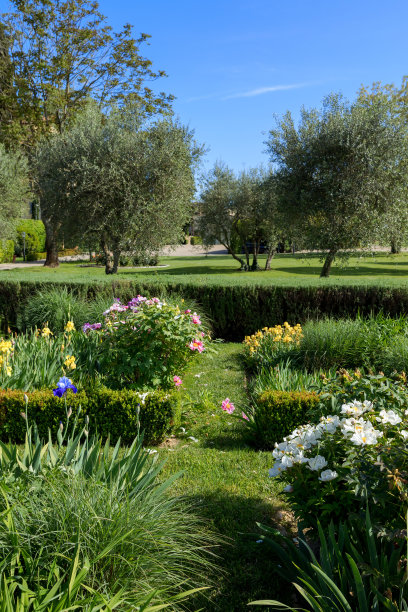 托斯卡纳乡村鸢尾花花园图片下载